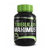 Tribulus Maximus favorece la producción de la testosterona.