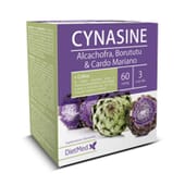 Cynasine tiene propiedades digestivas.