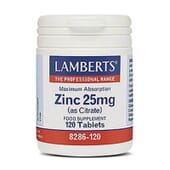 Zinc 25 mg de Lamberts vous apporte une haute concentration en zinc.