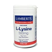 Favorisez votre croissance musculaire avec L-Lysine 500 mg.