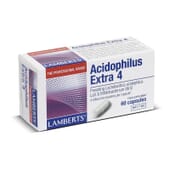 Favorisez le bien-être de votre système digestif avec Acidophilus Extra 4.