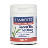 Potencia la capacidad antioxidante con Té Verde 5000mg de Lamberts.