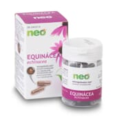 Equinácea Neo fortalece o sistema imunológico.