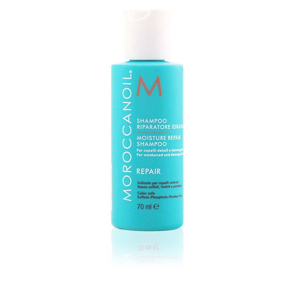 Repair Moisture Repair Shampoo