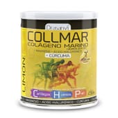Collmar Kollagen + Magnesium + Kurkuma 300g von Drasanvi