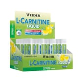 L-CARNITINE LIQUIDE 20 fioles de 25 ml de Weider
