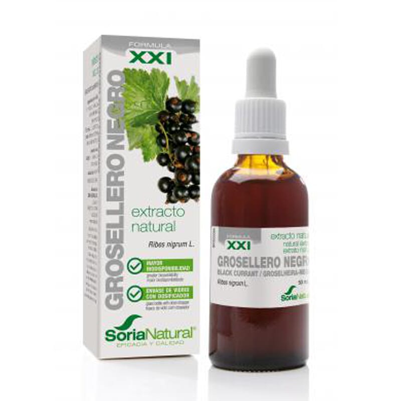 EXTRACTO NATURAL DE GROSELLERO NEGRO XXI 50ml