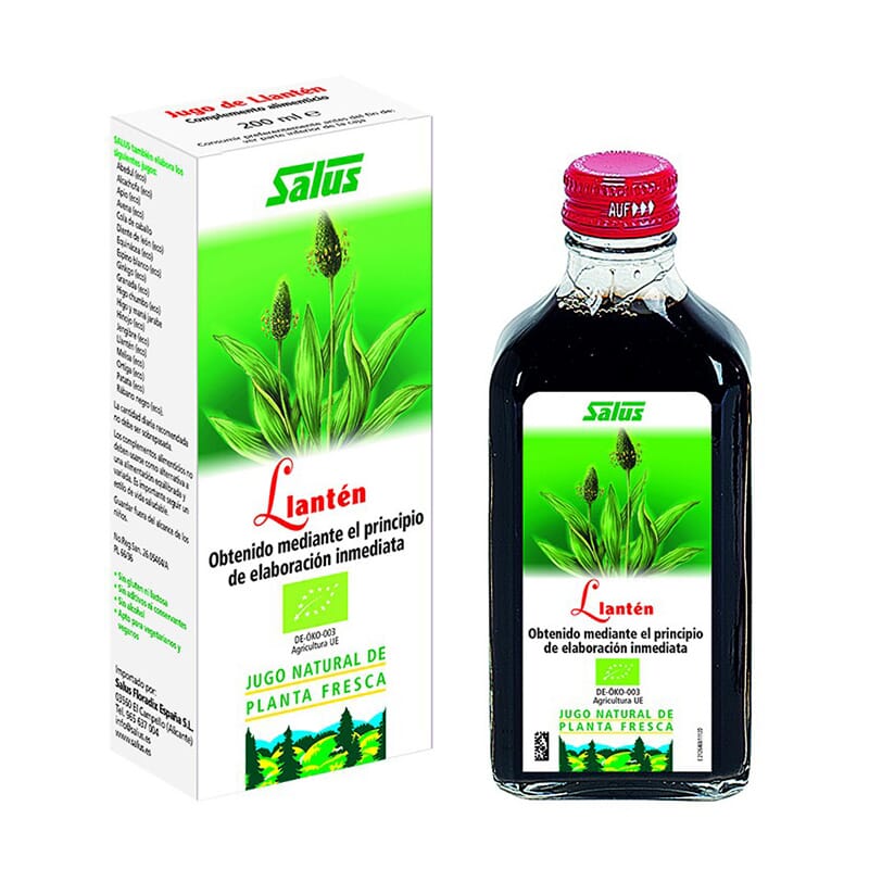 Sumo Plantago Eco  