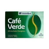 Caffè Verde Senza Caffeina 30 Capsule di Ynsadiet