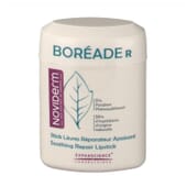 Boréade R Stick Reparador 9,2g - Noviderm - Nutre y repara