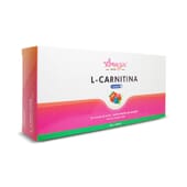 L-CARNITINA 20 Frascos de 10ml da Amazin' Foods