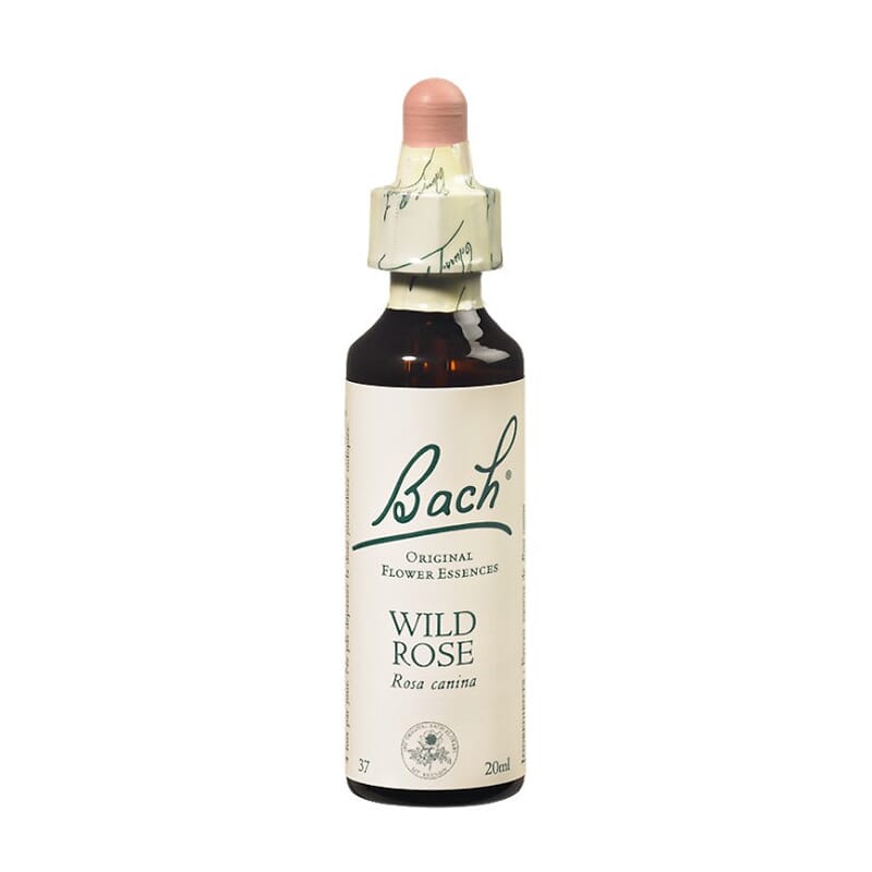 FLORES DE BACH ORIGINALES ROSA SILVESTRE 37 20ml