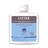 Shampoo Corteccia Di Salice Antiforfora Bio 250 ml di Cattier