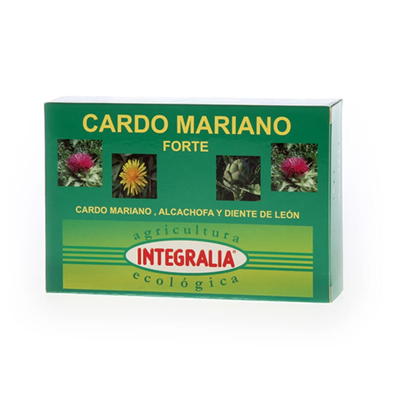 Cardo Mariano Forte Eco  
