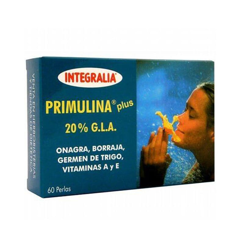 Primulina Plus  