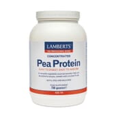 CONCENTRATED PEA PROTEIN 750 g - LAMBERTS