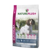 Nature Plus+ Erwachsene Hunde Mittelgroße Hunderassen Lachs 10 Kg von Eukanuba