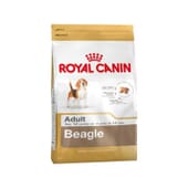 Pienso Beagle Adulto 12 Kg de Royal Canin