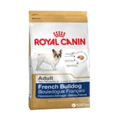 Hundefutter Für Erwachsene Französische Bulldogge 3 Kg von Royal Canin