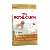 Ração Caniche Adulto 7,5 Kg da Royal Canin
