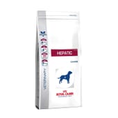 Veterinary Diet Ração Cão Adulto Hepatic 1,5 Kg da Royal Canin