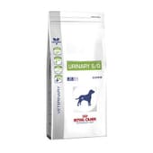 Veterinary Diet Ração Cão Adulto Urinary S/O 7,5 Kg da Royal Canin