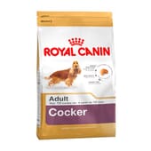 Pienso Cocker Adulto 12 Kg de Royal Canin