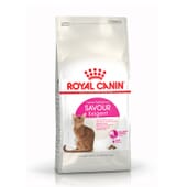 Croquettes Chat Adulte Exigent Savour 2 kg de Royal Canin