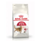 Ração Gato Adulto Regular Fit 32 2 Kg da Royal Canin