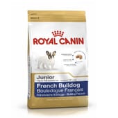 Ração Bulldog Francês Junior 10 Kg da Royal Canin