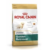 Ração Golden Retriever Junior 12 Kg da Royal Canin