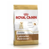 Hundefutter Für Junior-Labrador Retriever 3 Kg von Royal Canin