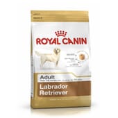 Pienso Labrador Retriever Adulto 3 Kg de Royal Canin