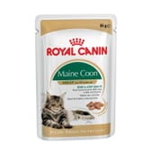 Comida Húmida Gato Maine Coon Adulto 1 Saqueta De 85g da Royal Canin