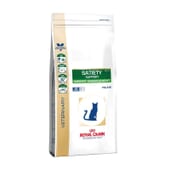 Veterinary Diet Crocchette Gatto Adulto Satiety Support Weight Management 6 Kg di Royal Canin
