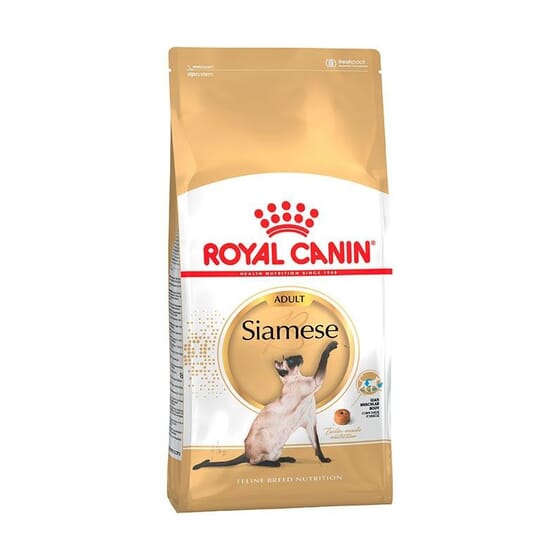 Croquettes Chat Siamois Adulte 10 kg de Royal Canin