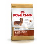 Pienso Dachshund Adulto 7,5 Kg de Royal Canin
