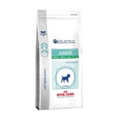 Veterinary Diet Pediatric Ração Cão Junior Raças Pequenas 4 Kg da Royal Canin