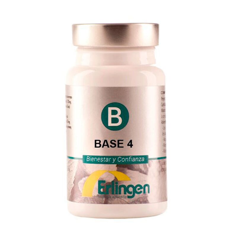 Base 4   de Erlingen