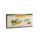 RADIS NOIR ESP 12 Ampollas - Santiveri | Nutritienda