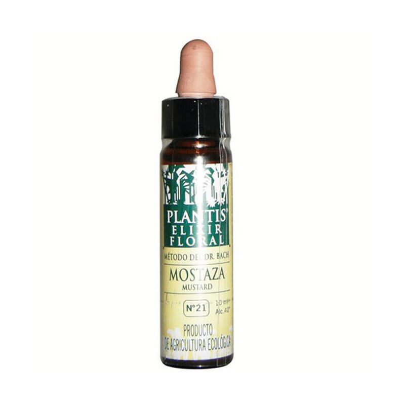 N21 Mostarda 10 ml
