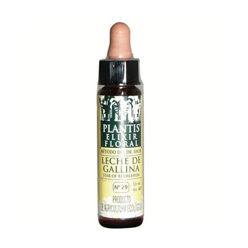 N29 Leite De Galinha 10 ml