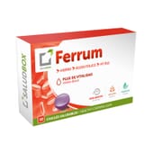 SALUDBOX FERRUM 30 Chewing-gums
