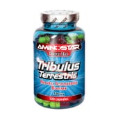 Tribulus Terrestris 500 Mg 120 Gélules - Aminostar | Nutritienda