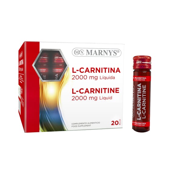 acetyl l carnitine heart benefits Kirkman - Acetyl L-Carnitine 250 mg - 90 Capsules - Supports Sustained  Cellular Energy Production