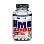 HMB 3800 - 120 Caps - WEIDER