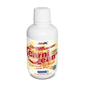 Carnilean Burner 480 ml - Amix Nutrition | Nutritienda