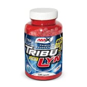 Tribulyn 40% 120+100 Gélules - Amix Nutrition | Nutritienda