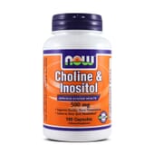 Choline & Inositol 500 mg 100 Capsule di Now Foods