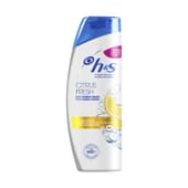H&S Citrus Fresh Shampoo für fettiges Haar 340 ml von Head & Shoulders